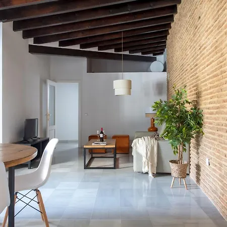Apartamento Triana